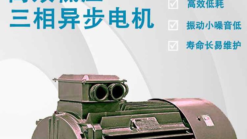 品牌知名度是衡量一个厂家实力的关键因素之一。知名品牌往往具有以下特点：